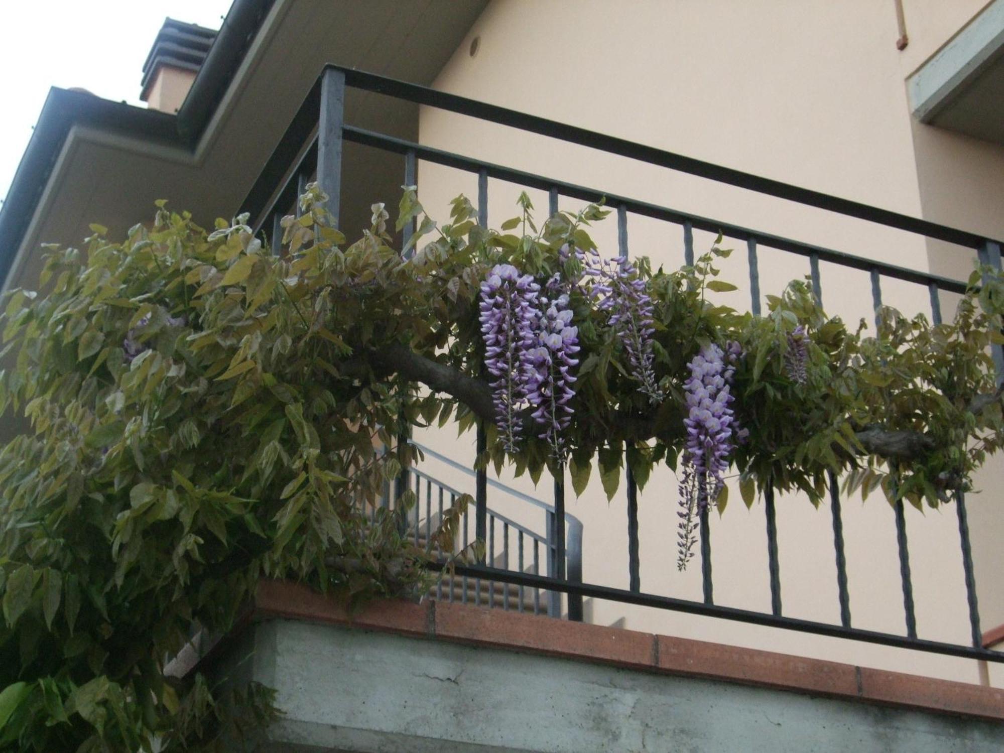 La Casa Di Zefiro Bed & Breakfast