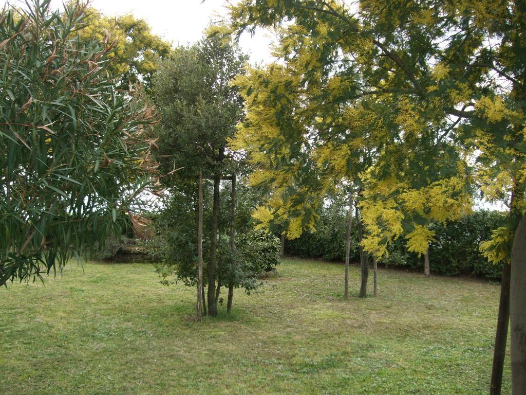 La Casa Di Zefiro Bed & Breakfast