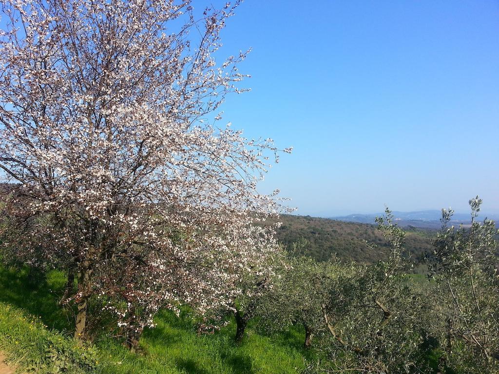 La Casa Di Zefiro Bed & Breakfast 2*