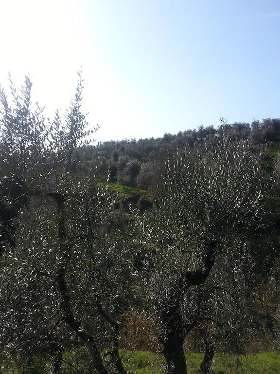 La Casa Di Zefiro Limite